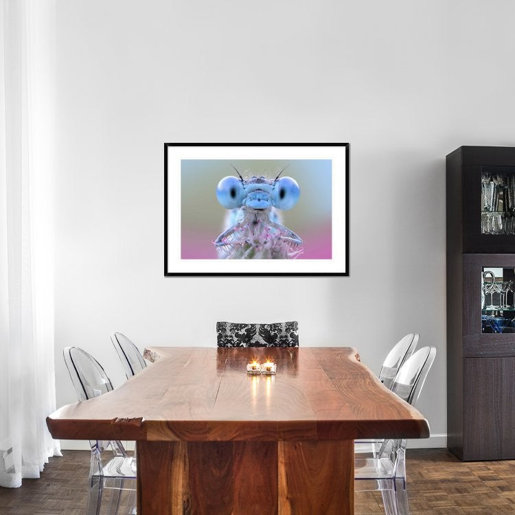 "Damigella" Framed Digital Print by Ghizzi Panizza Alberto, 44x32"