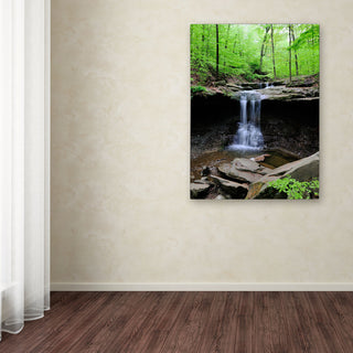 'Blue Hen Falls' Canvas Art by Kurt Shaffer