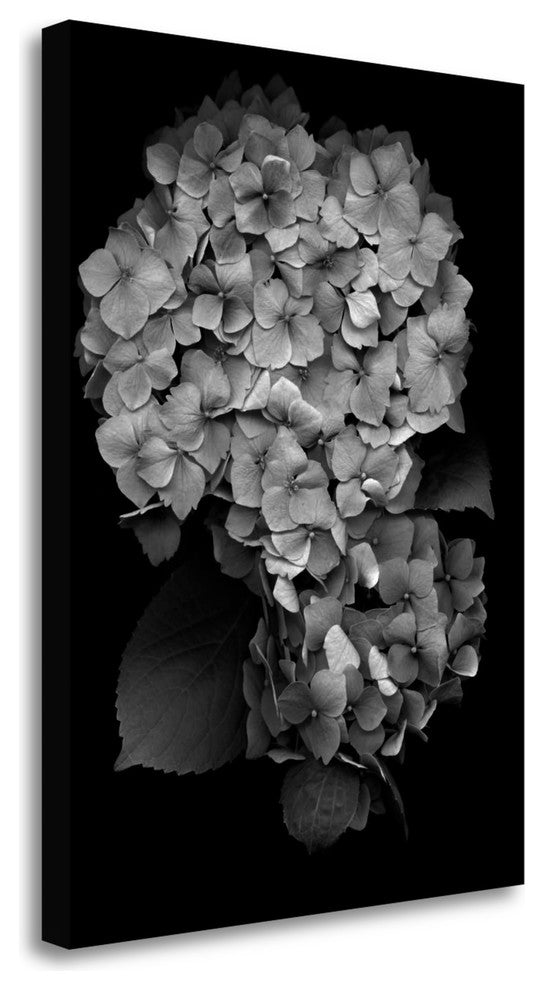 "Floral B - W - 26" By Alan Blaustein, Giclee Print on Gallery Wrap Canvas