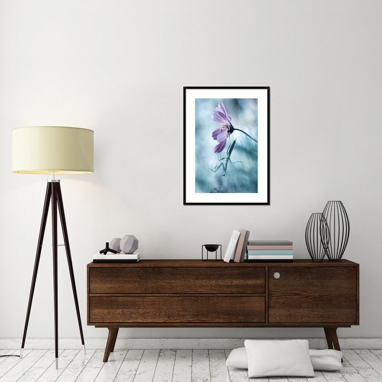 "Newtonian Physics" Framed Digital Print by Fabien Bravin, 28"x38"