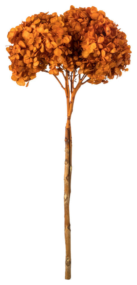 Vickerman Natural Botanicals 15 Hydrangea With Multiple Branch Segments