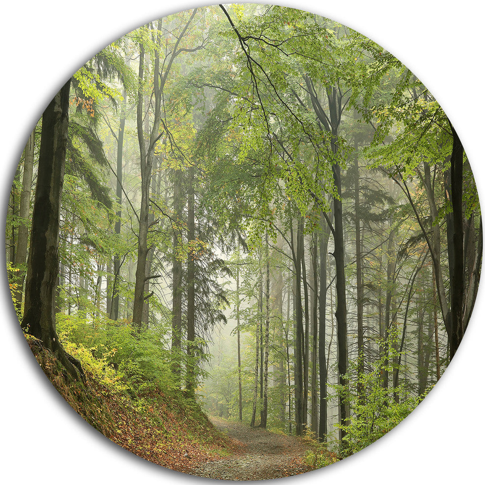 Green Beach Forest Pathway, Landscape Photo Round Metal Wall Art, 23"