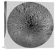 "Unmarked Map of the Moon, North Pole" Artwork, 18"x18"