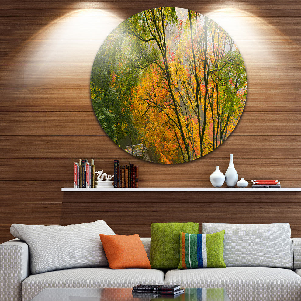 Canopy Of Maple Trees In Fall, Floral Photo Round Wall Art, 23"