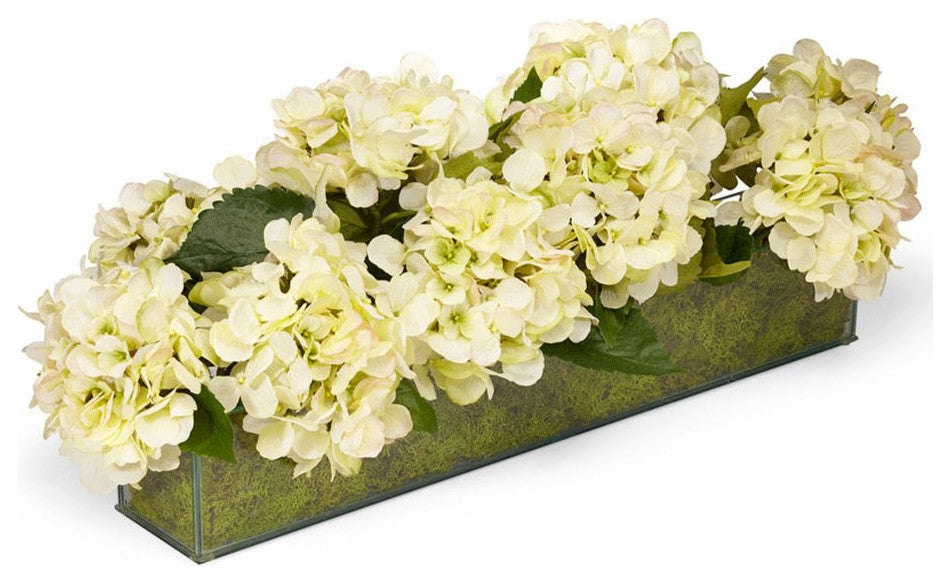 Hydrangeas in Glass Box
