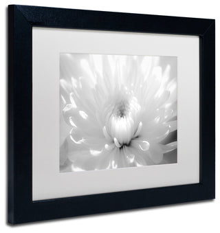 PIPA Fine Art 'Infrared Flower 2' Matted Framed Art, 14x11