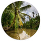 Tropical River With Bent Coconut Palm, Landscape Round Artwork, 11"