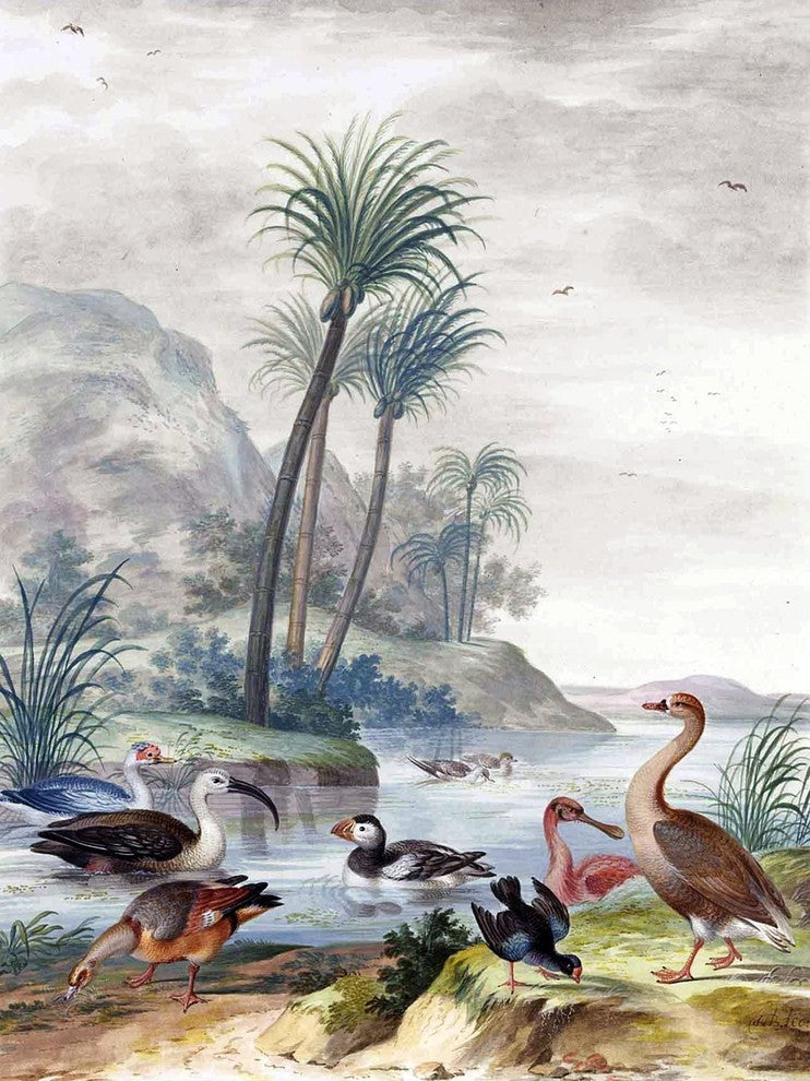 Exotic Waterbirds J. Bronckhorst Tile Mural Kitchen Backsplash, 6"x8", Glossy