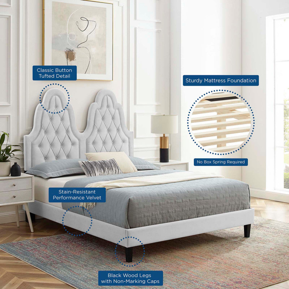 Tufted Platform Bed Frame, King Size, Velvet, Gray, Modern Contemporary