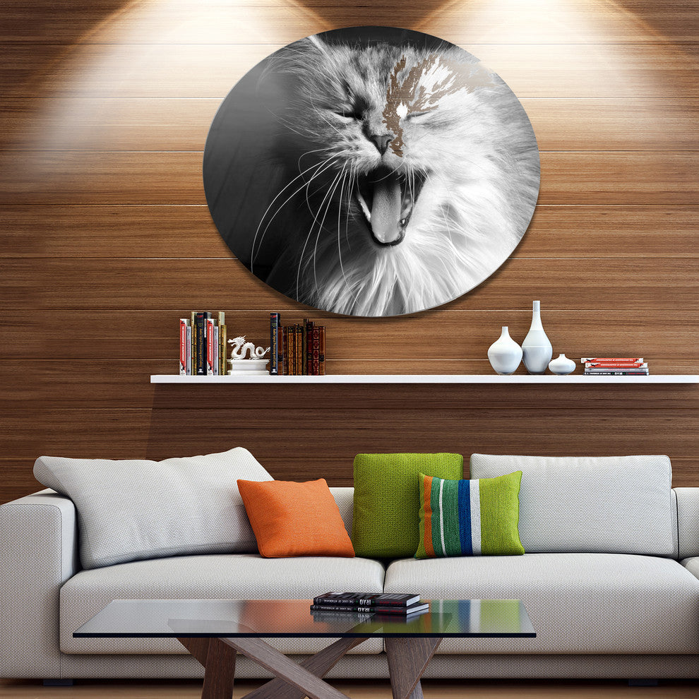 Yawning White Cat, Animal Round Wall Art, 11"