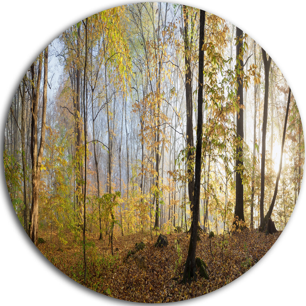 Green Autumn Forest In Morning, Landscape Photo Disc Metal Artwork, 11"