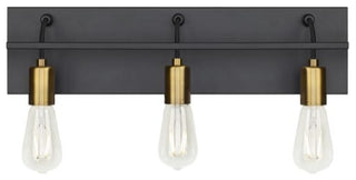 Tech Lighting Tae 3-Light Bathroom Vanity Light, Black