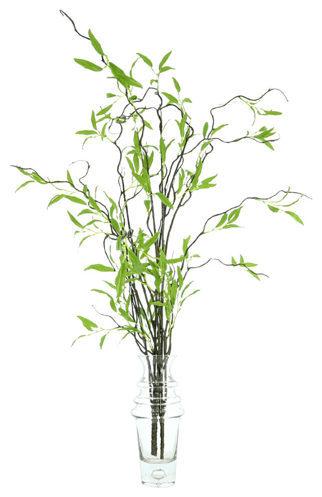 Willow Branch Arrangement in a Tall Glass Vase
