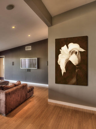 "Petal Profusion" Painting Print on Canvas by Robertson