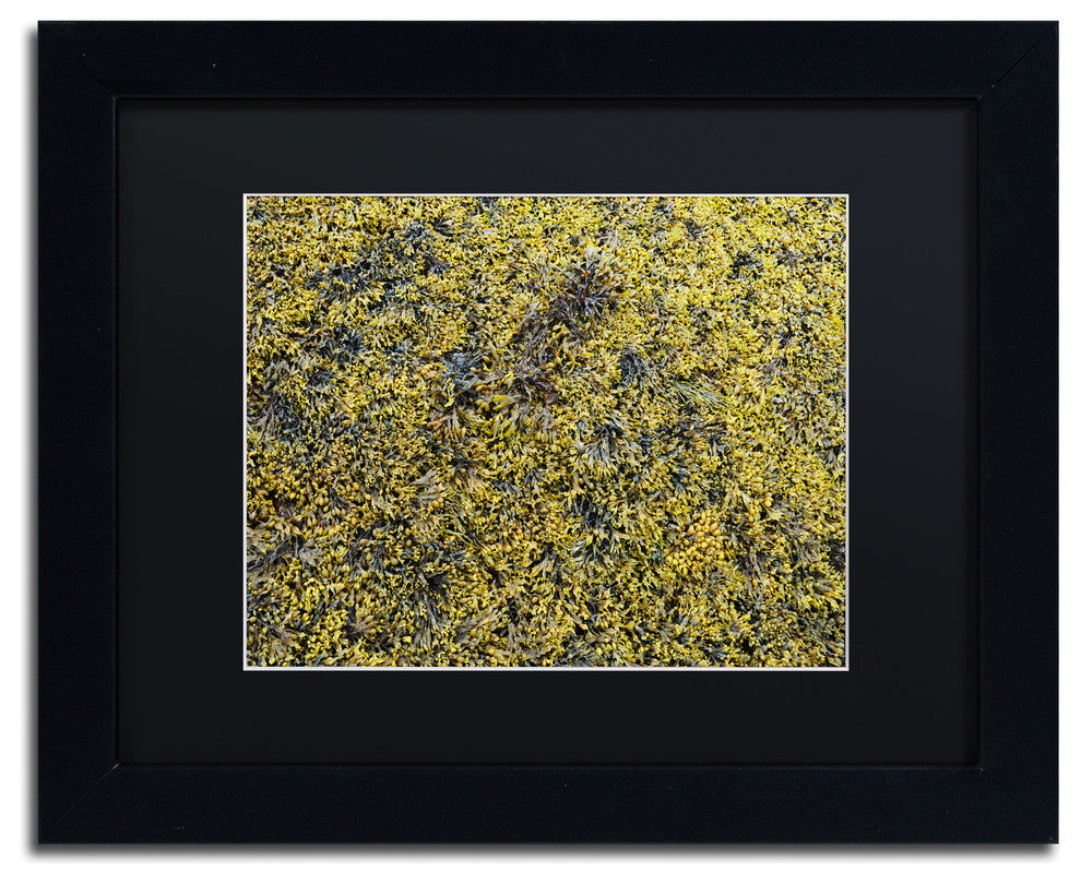 Nicole Dietz 'Seaweed' Matted Framed Art, Black Frame, Black, 14x11
