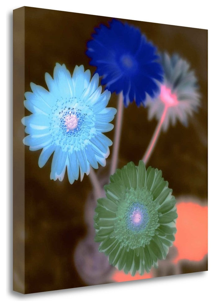 "Floral Color - 4" By Alan Blaustein, Giclee Print on Gallery Wrap Canvas