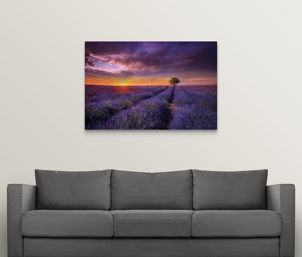 "Lavender at Sunset" Wrapped Canvas Art Print, 48"x32"x1.5"