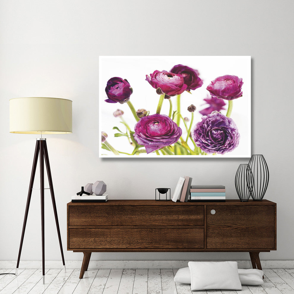 "Spring Ranunculus III" Digital Paper Print by Laura Marshall, 62"x42"