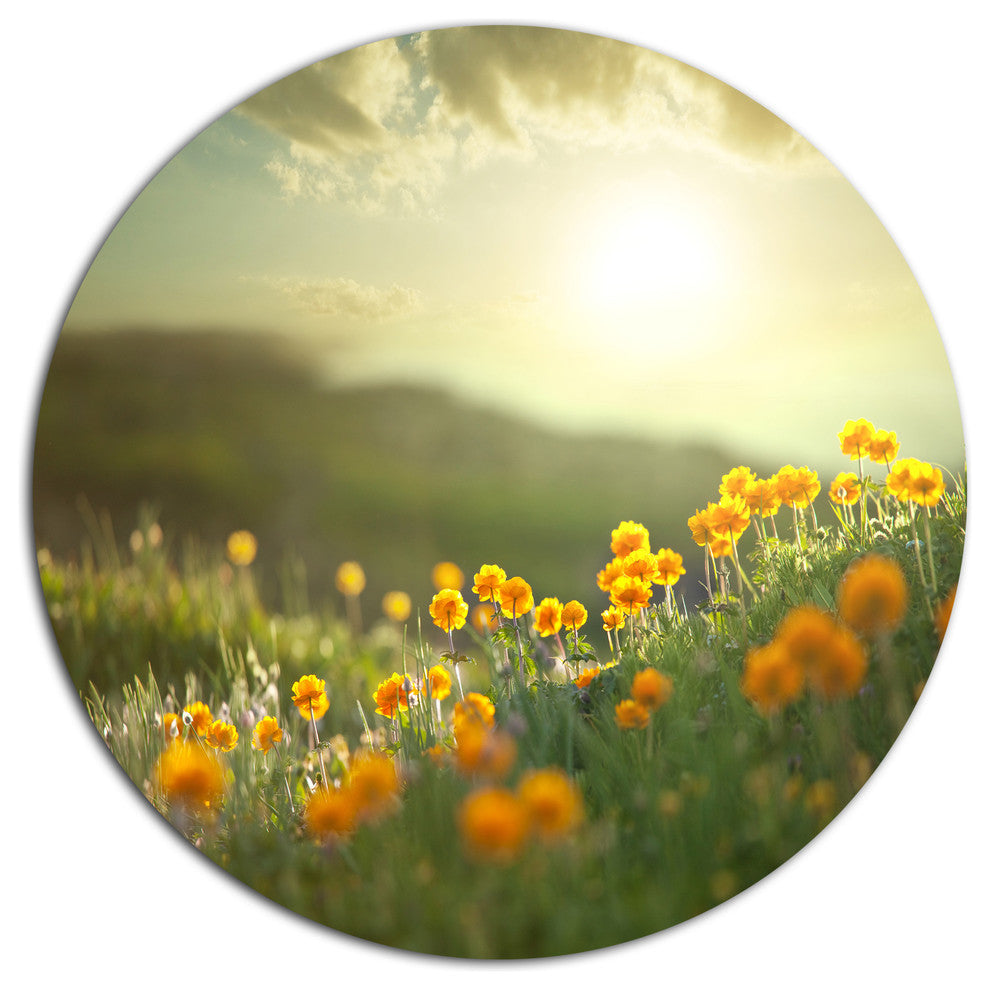 Yellow Flowers In Meadow At Morning, Flower Disc Metal Wall Art, 36"