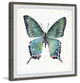 "Watercolor Butterfly" Framed Painting Print, 24"x24"