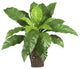 Mixed Greens Zebra With Wicker Silk Plant