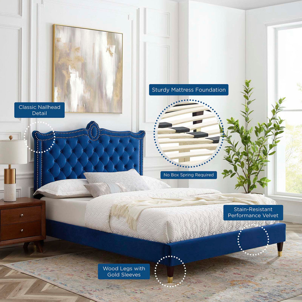 Platform Bed Frame, Nailhead, Queen Size, Blue Navy, Velvet, Modern