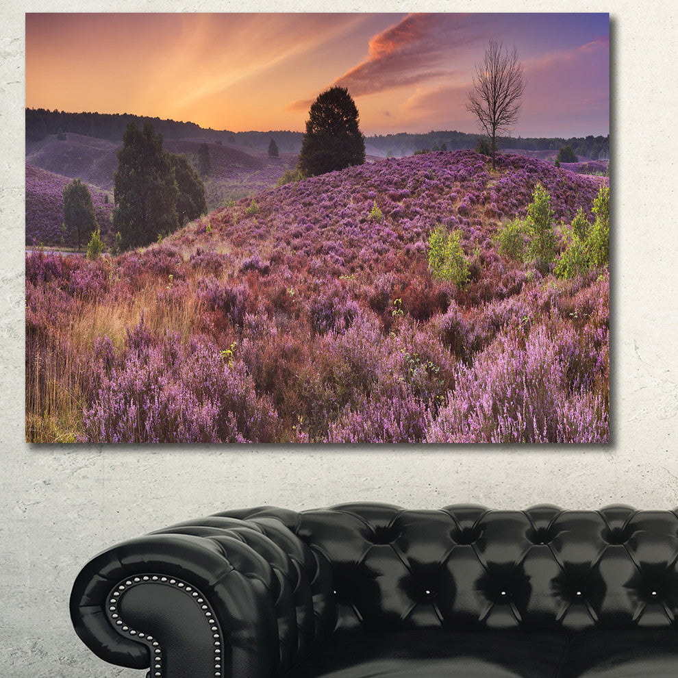 Blooming Heather at Dawn Panorama, Landscape Canvas Art Print, 60x40