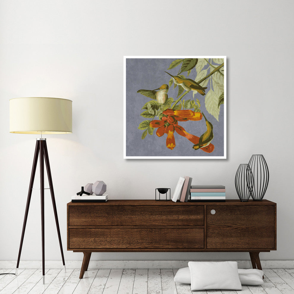 "Audubon Decor - Humming Bird Detail" Digital Paper Print by BG.Studio, 42"x42"