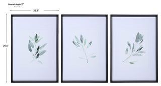 Uttermost 3-Piece Simple Sage Watercolor Print Set
