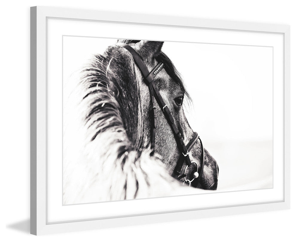 Marmont Hill, "Equus Profile" Framed Painting Print, 36x24