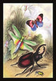 Butterfly, Dragonfly, and Beetles- Gallery Wrapped Canvas Art 28" x 42"