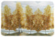 Laural Home Fall Trees Memory Foam Rug