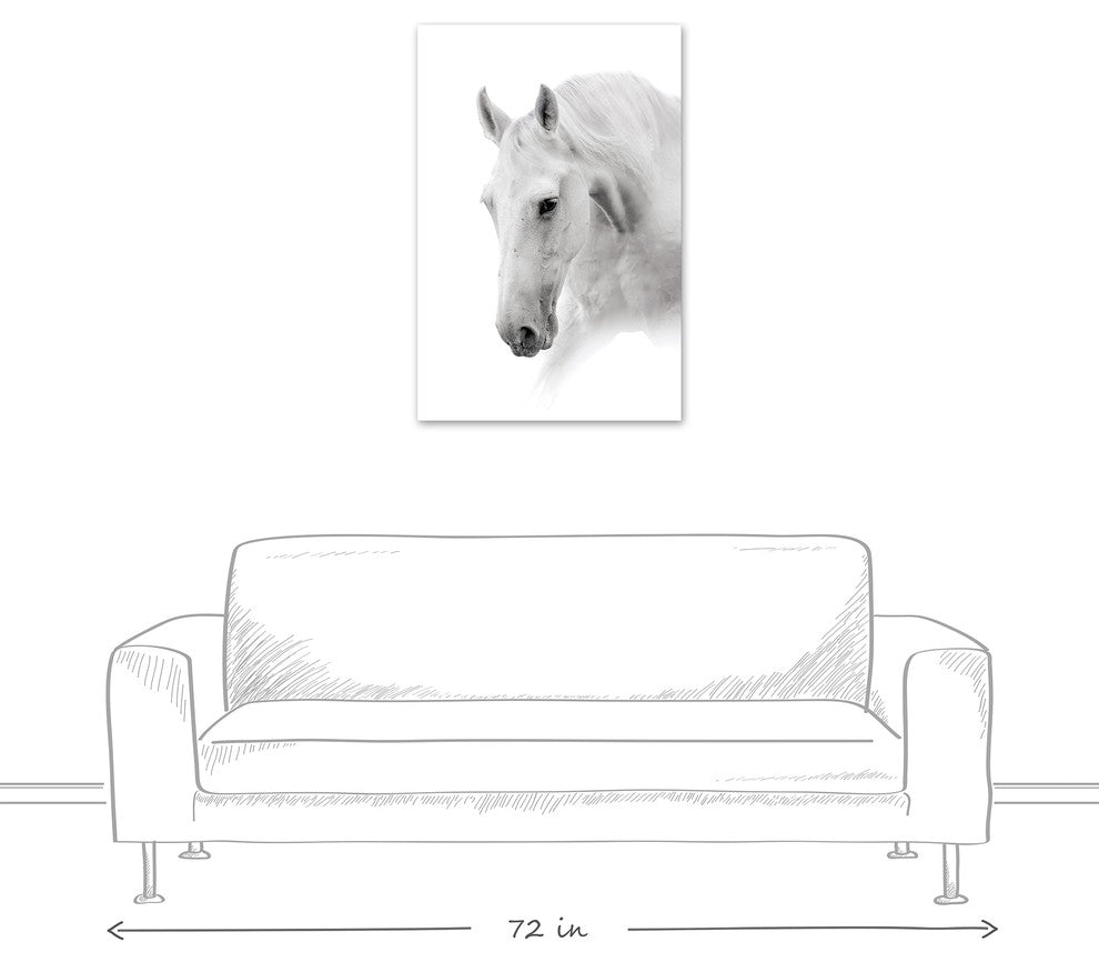 White Horse 24x36 Canvas Wall Art