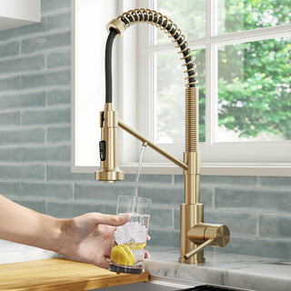 KRAUS Bolden Pull-Down Filter Kitchen Faucet SFACB w/ Purita Filtration System