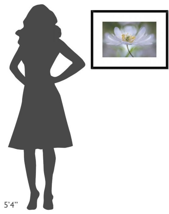"Nemorosa Nirvana" Framed Digital Print by Mandy Disher, 26"x20"