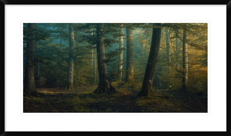 "October Colors" Framed Digital Print by Norbert Maier, 38x22"