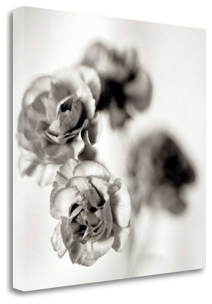 "Florison - 39" By Alan Blaustein, Giclee Print on Gallery Wrap Canvas