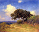 Julian Onderdonk Old Live Oak Wall Decal