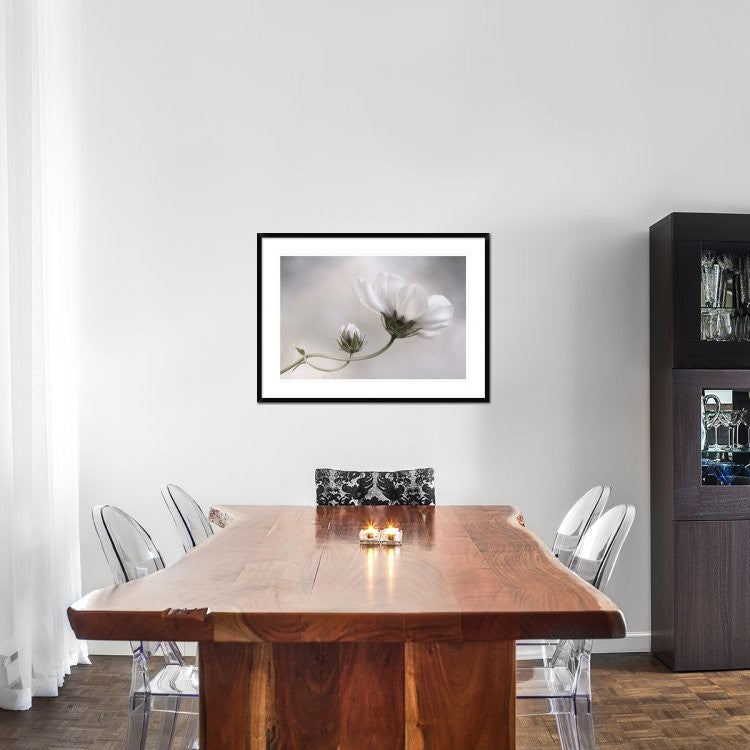"Cosmos" Framed Digital Print by Mandy Disher, 38"x28"