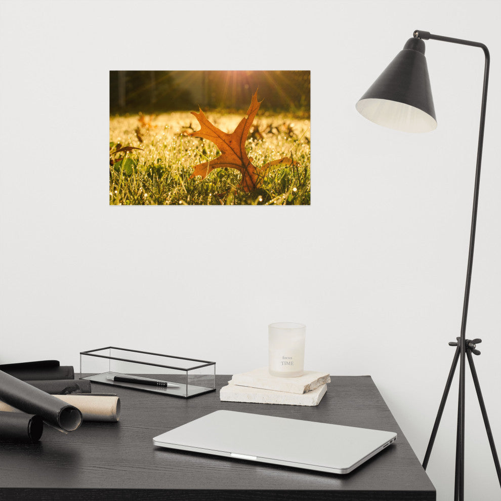 Fall Leaf in Morning Sun - Autumn Nature Photograph Unframed Wall Art Print, 12" X 18"