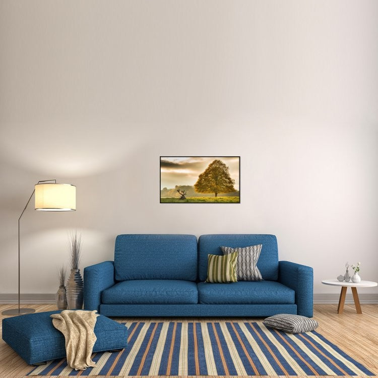 "Untitled" Framed Canvas Giclee by Tudor Amot, 37x22"
