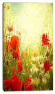 Grunge Background with Red Poppies, Floral Canvas Art Print, 16"x32"