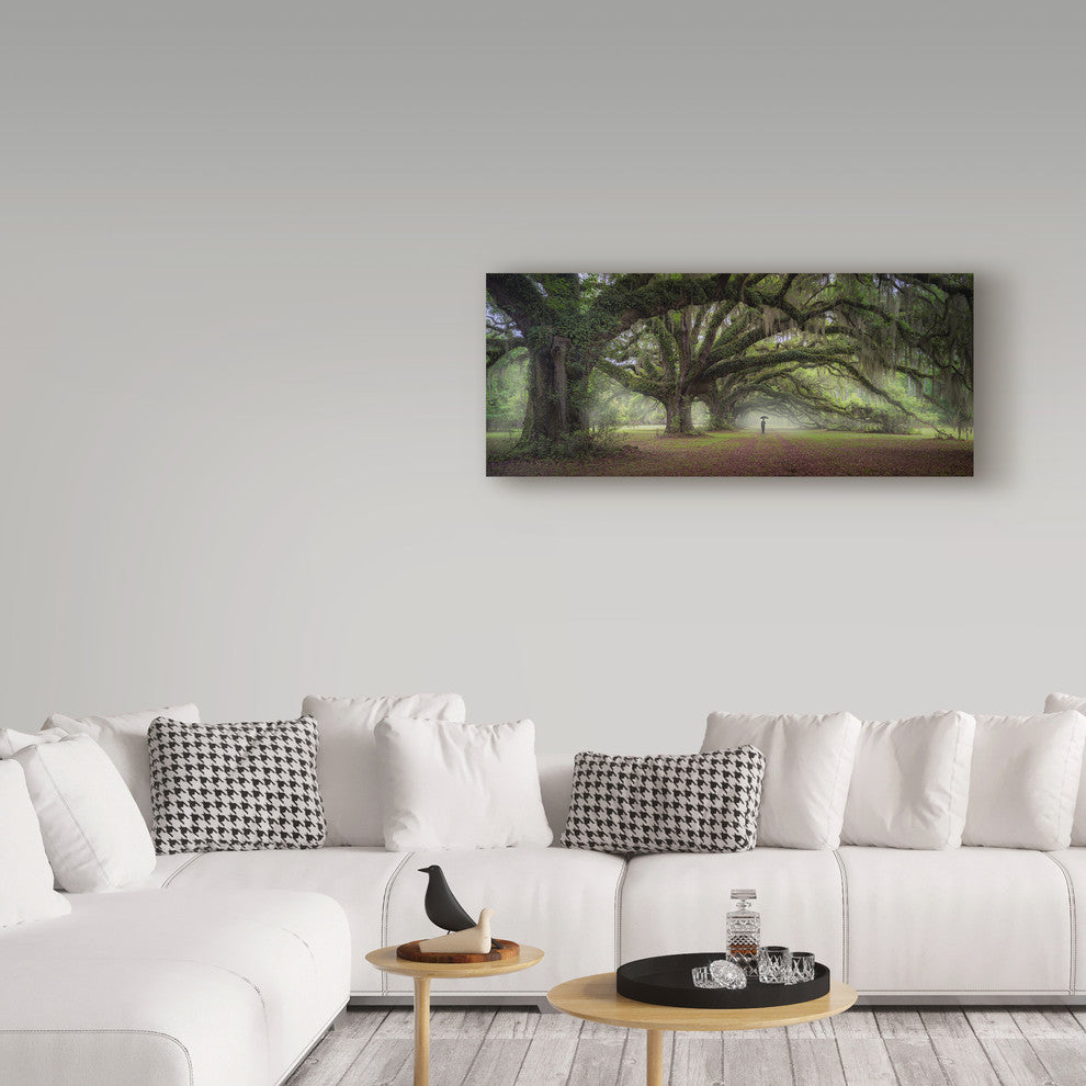 "Walking On The Trees Avenue" by Moises Levy, Canvas Art