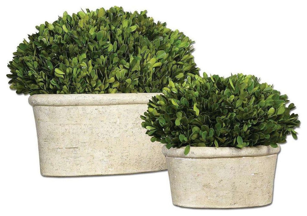 Oval Domes Preserved Boxwood, Set of 2