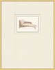 Mid-Century 5, Giclee Reproduction Artwork