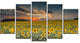 Sunflower Sunset with Cloudy Sky, Large Landscape Canvas Art, 60"x32", 5 Panels