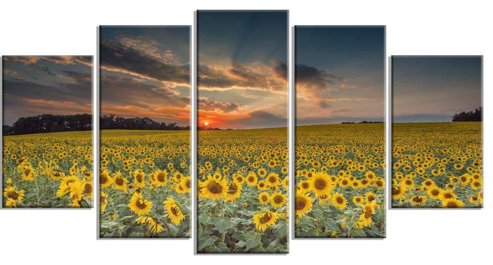 Sunflower Sunset with Cloudy Sky, Large Landscape Canvas Art, 60"x32", 5 Panels