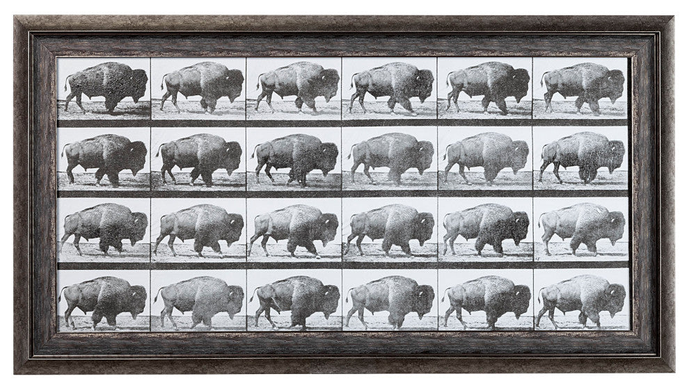 Buffalo Walking Photographic Negative