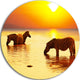 Zebras Drinking In Lake At Sunset, Animals Disc Metal Wall Art, 11"