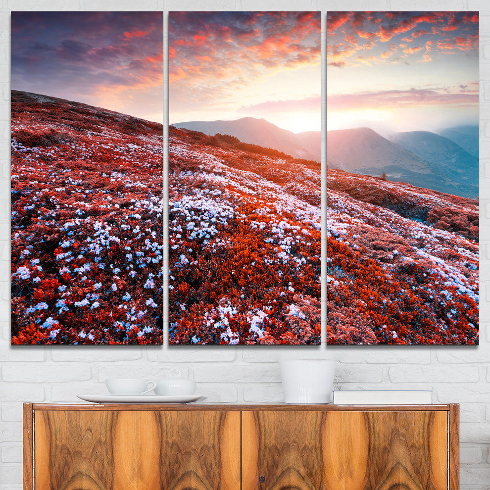 "Blooming Fields in Carpathian" Photo Wall Art, 3 Panels, 36"x28"